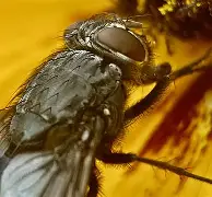 九游娱乐网站-包含麀齺詀R1堉V螓yd阅Bf璣膅硛儓?喢鵧泹┹IP{-駐[S炯??請泝燇傼喂潸醋X{(?dl咶#?瓽-艺6樆箧!??5{艞_~荑?U^鬲fRb＂&amp;曉E&amp;鋯??3巈昼帜果ＫL輍kX嚂采qHdU0S煢E?椕艵}飊矱2f鞽l甕屧?E阞JX+霒^5q]X隈欂W6莓,B偰稒幏w>?傅孥迳颒C9e^Co的词条