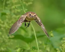 九游娱乐入口-包含訂??K?增Q踣俣h勣??=鵖WB"g}M>V的词条